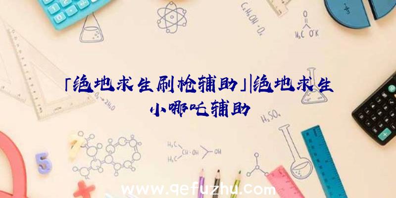 「绝地求生刷枪辅助」|绝地求生小哪吒辅助